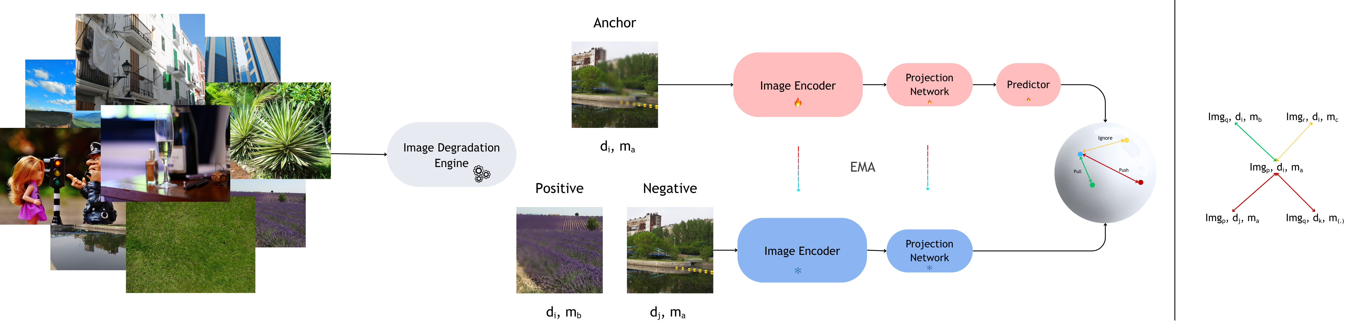 Spatially Localized Image Degradation Embeddings for Image Quality Assessment